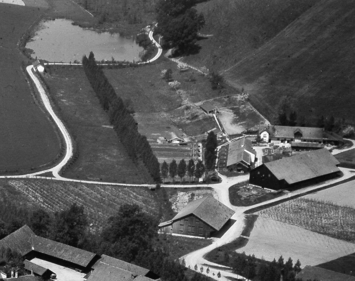 Wasenmeister Steinach