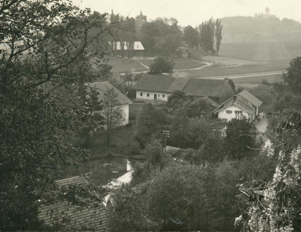 FO STEI 224
