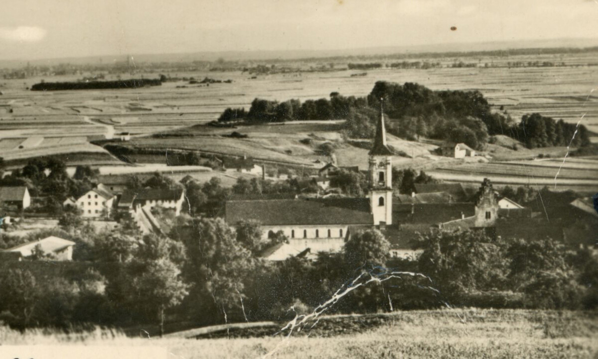 ak muen 33 1966