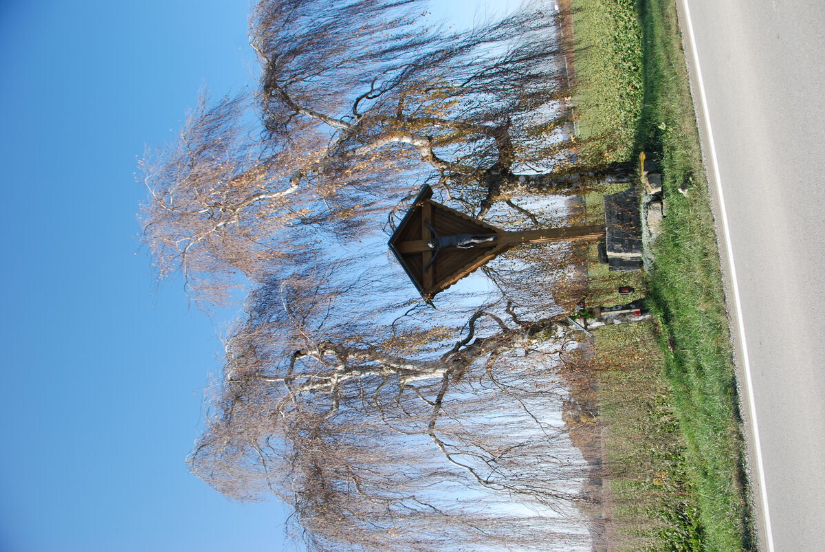 DSC 4602