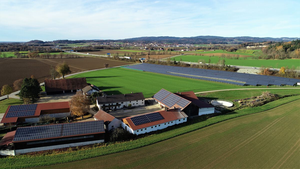 Heisinger Nov 2019