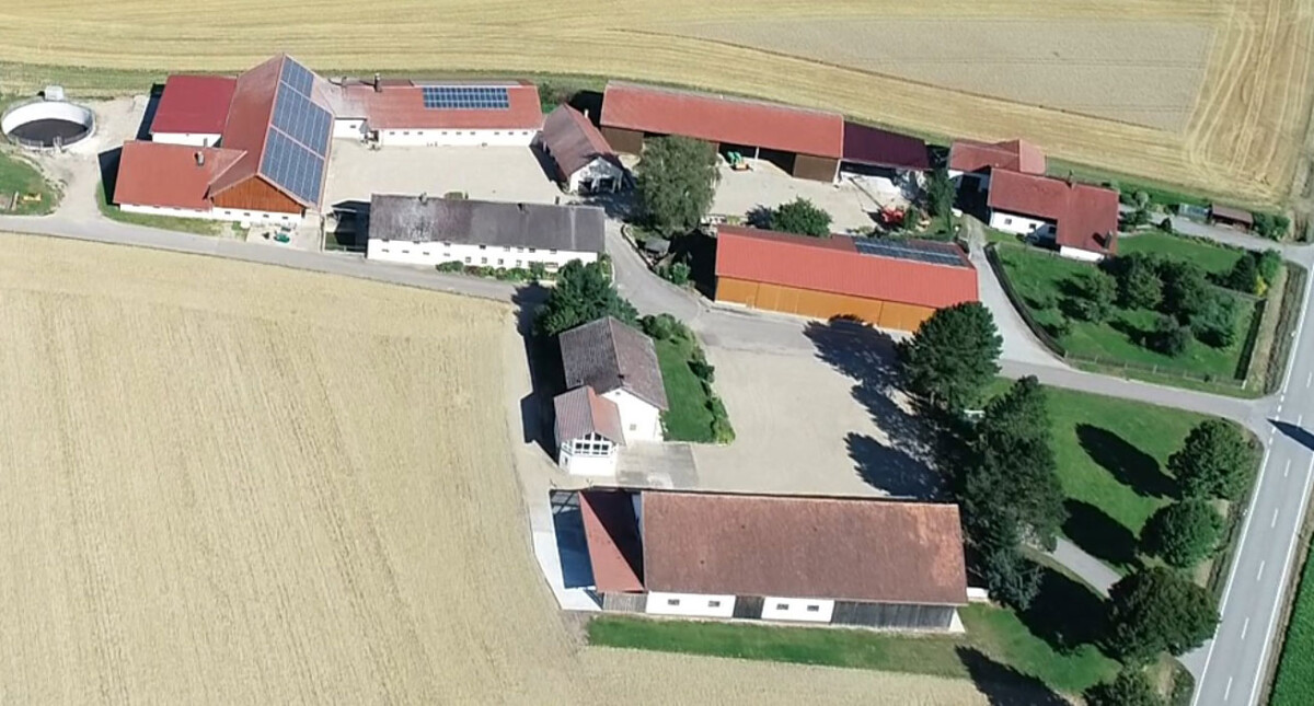 hiegeist 