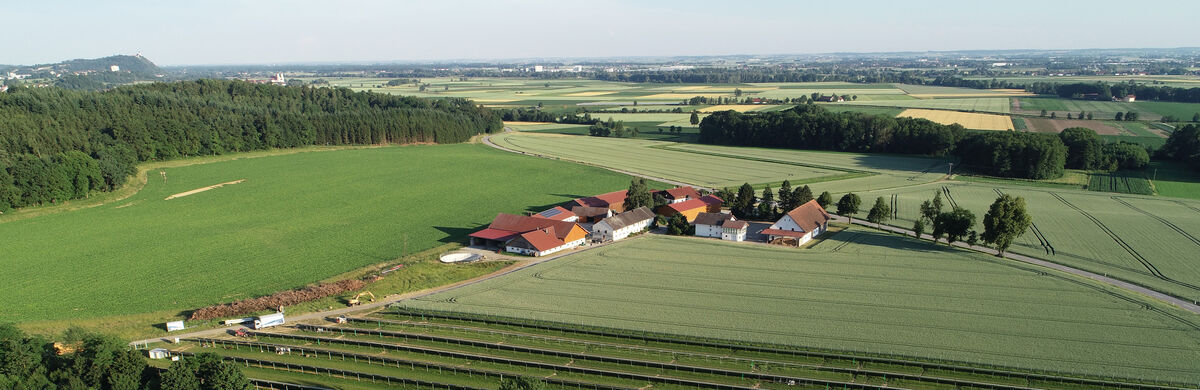 Hoerabach Juni 2019