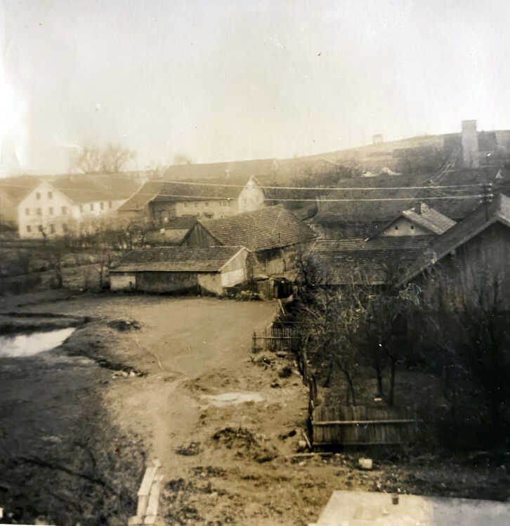obermeier 1