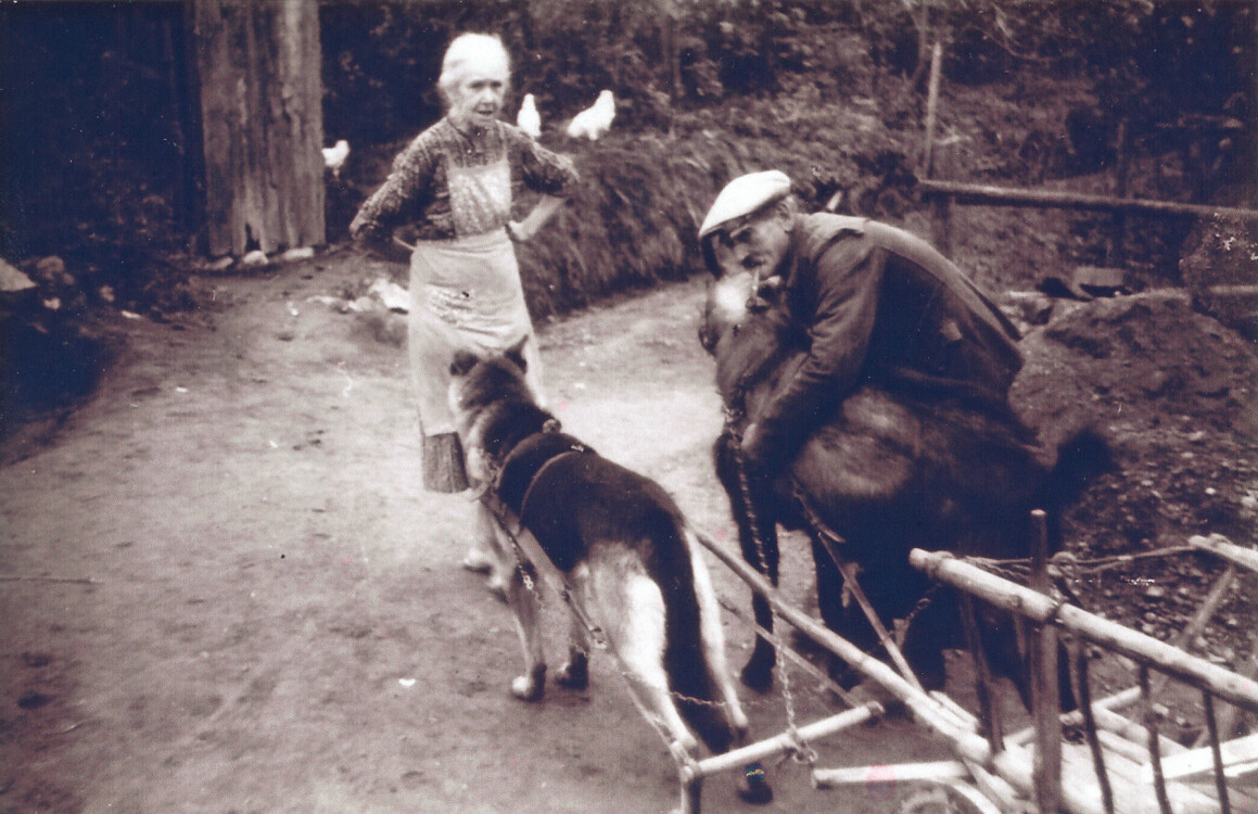 weber katharina