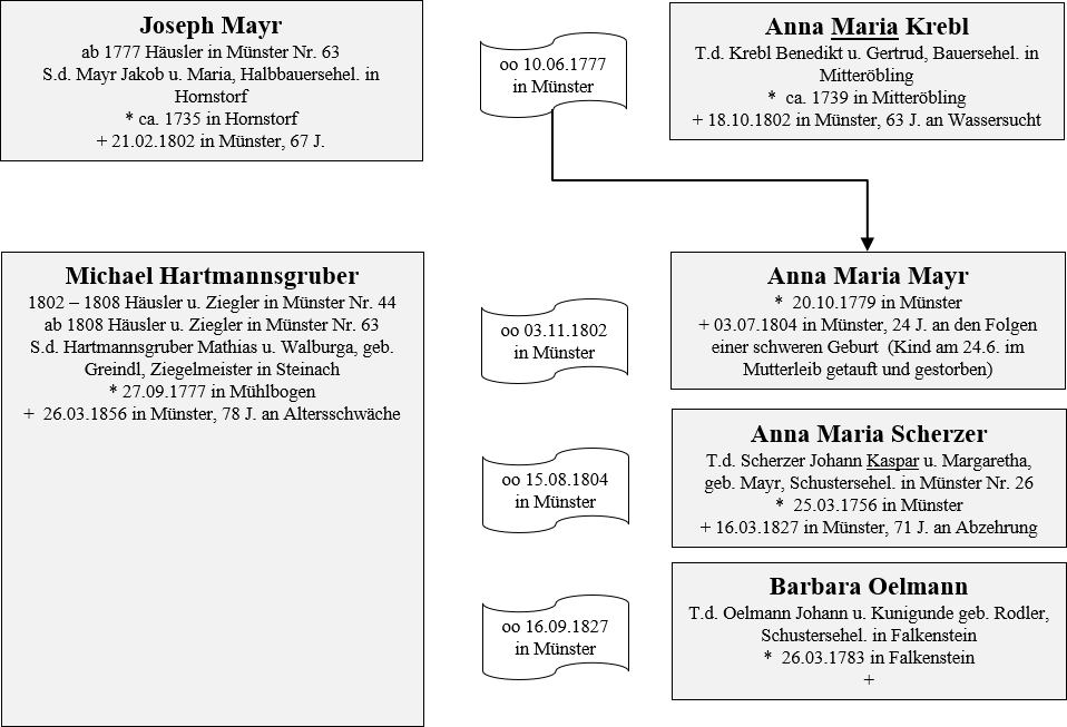 Mayr Besitzer