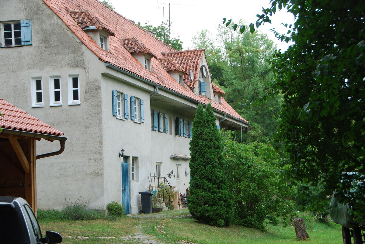 DSC 2303