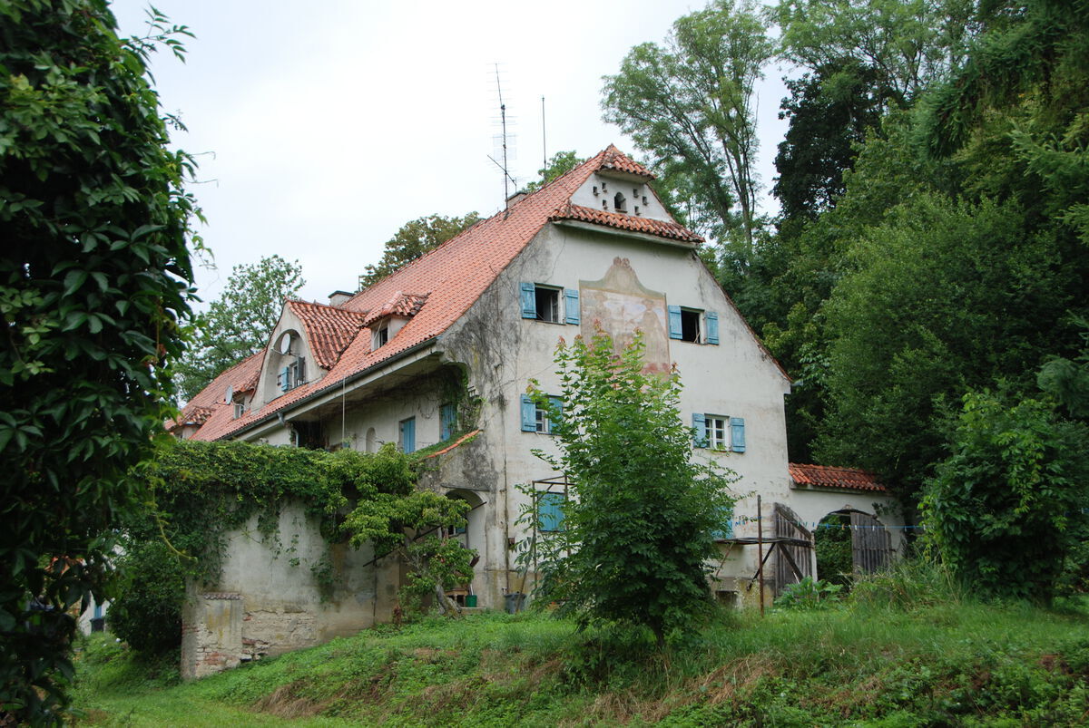 DSC 2311
