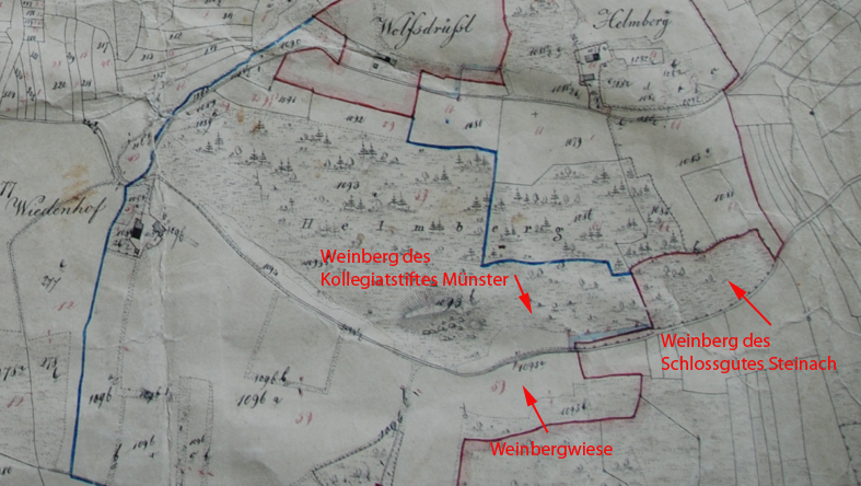 Liquidationsprotokoll Wiedenhof 2