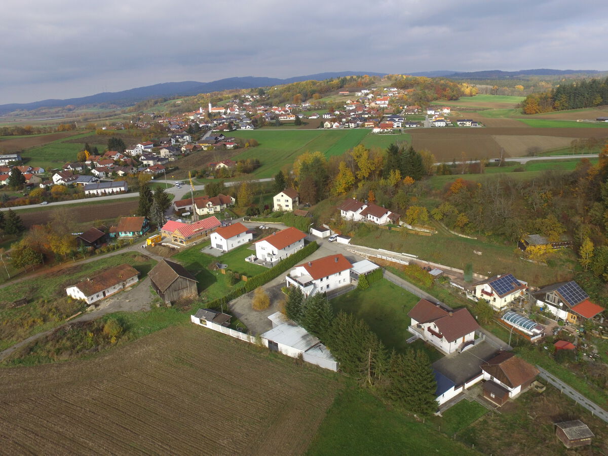 Wiedenhof 2020