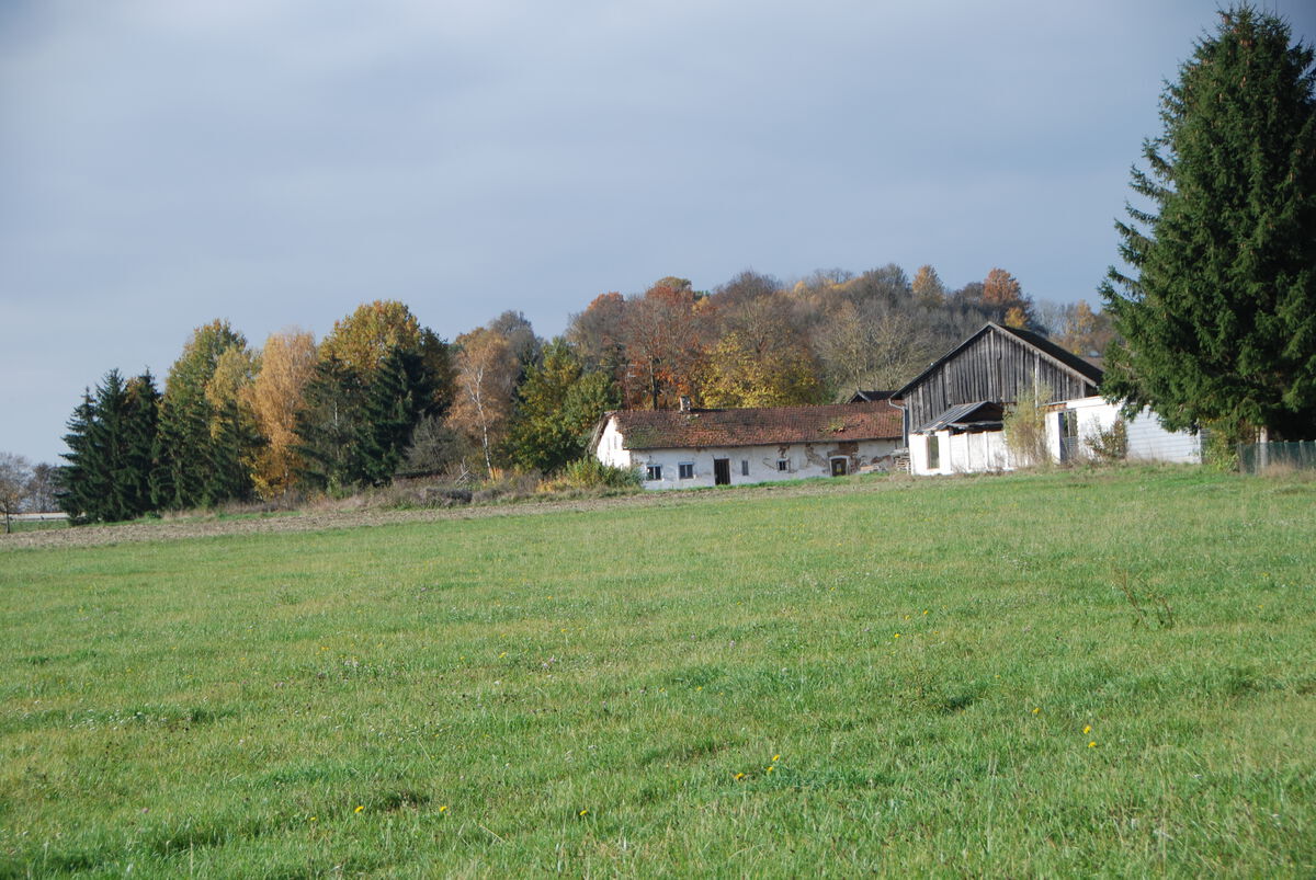 Wiedenhof Hof 2020