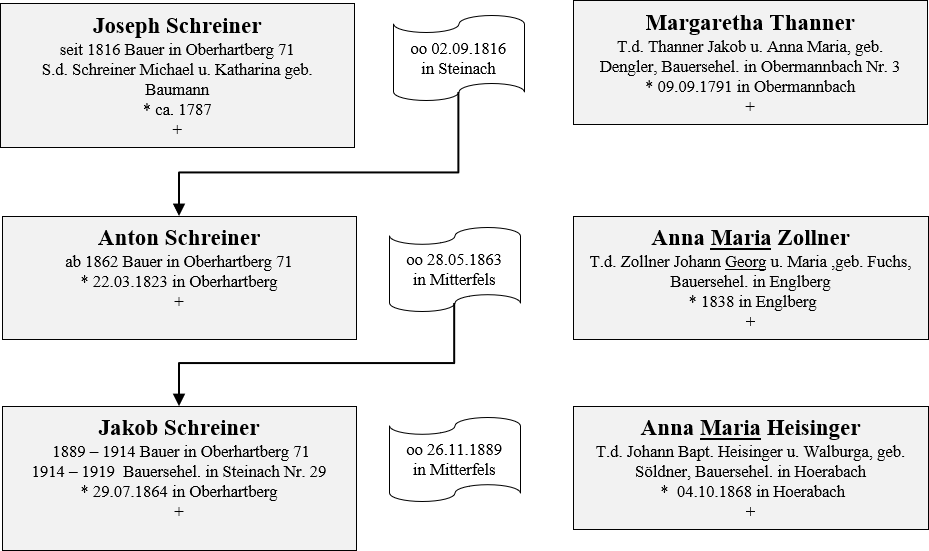Schreiner Besitzer