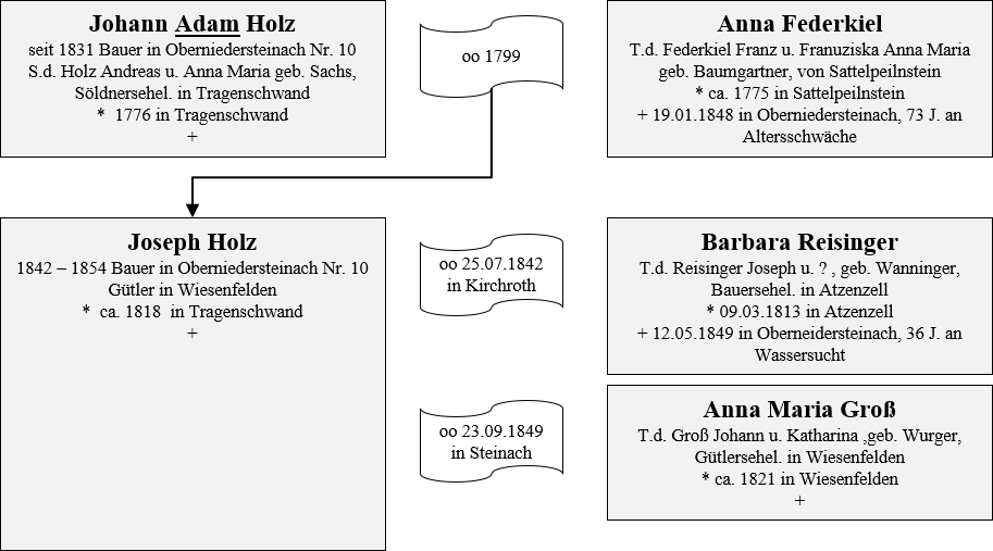 10 Holz Besitzer