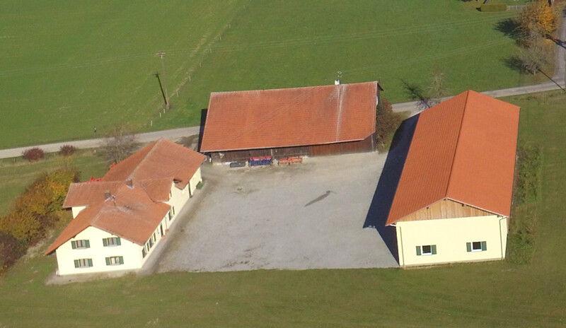 fo uonst 1 auszug