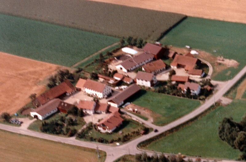 pellham 1991