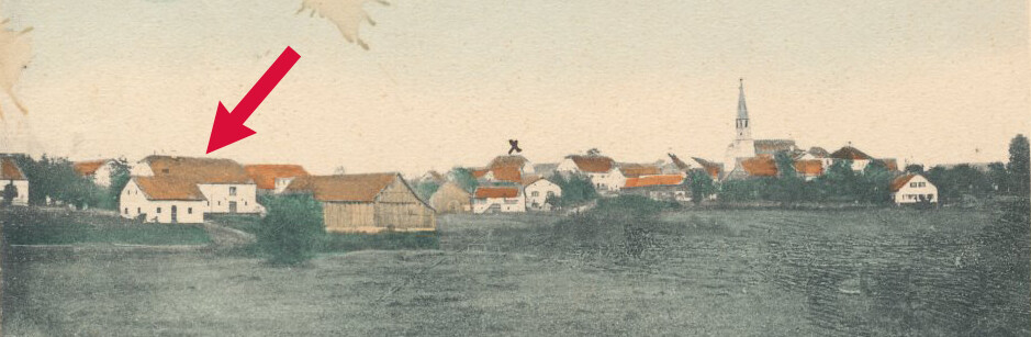 ak stei 118