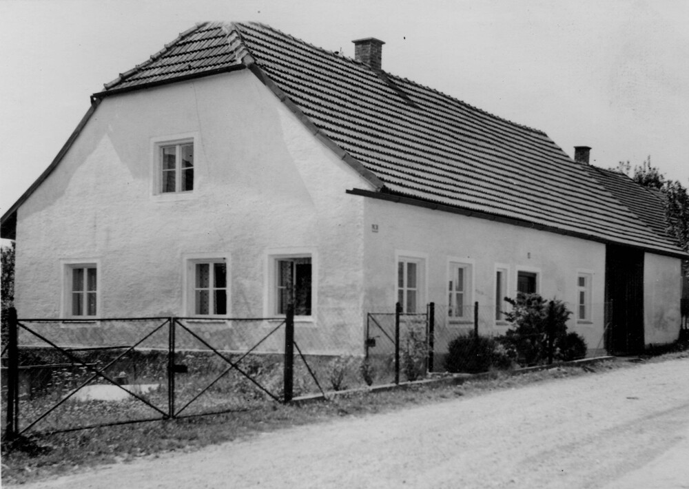 fo stei 748