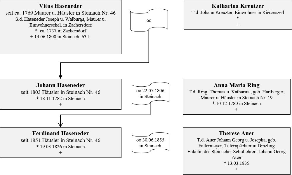 Haseneder Besitzer