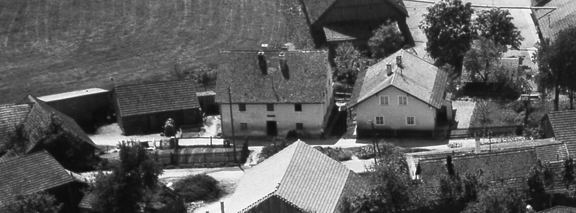 fo stei 566 auszug