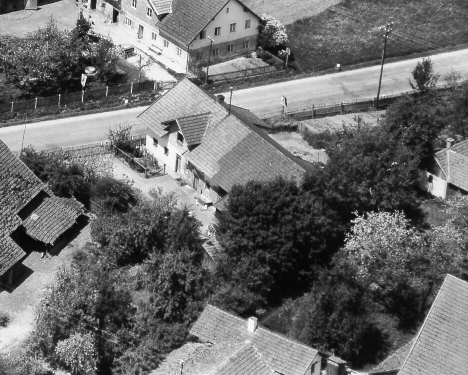 fo wolf 39 ausschnitt