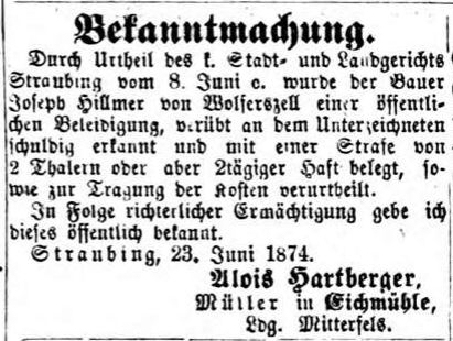 Beleidigung Hilmer Hartberger 1874