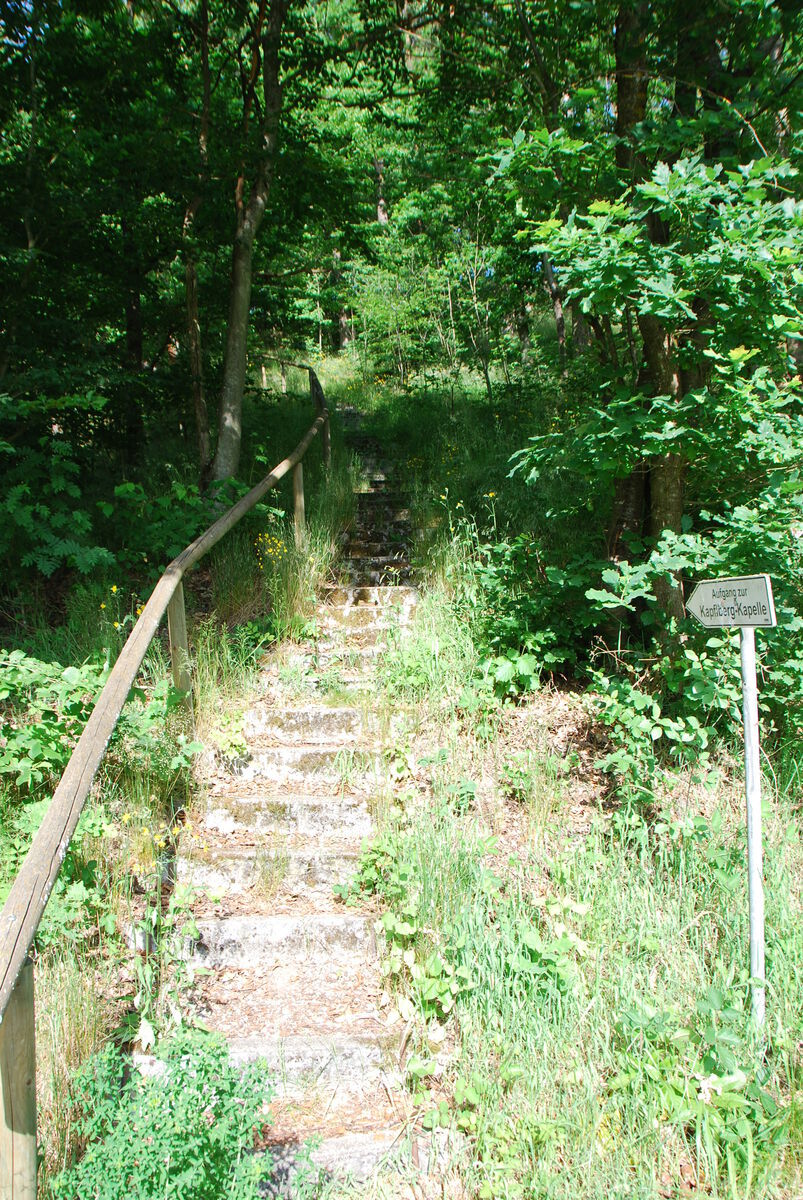 DSC 3552