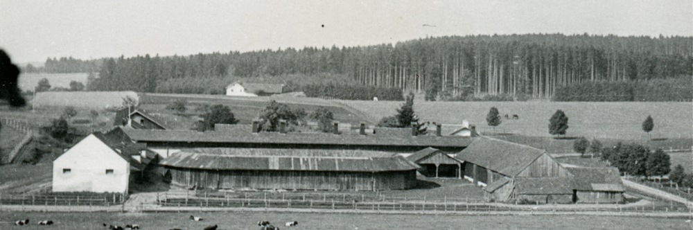 FO STEI 205