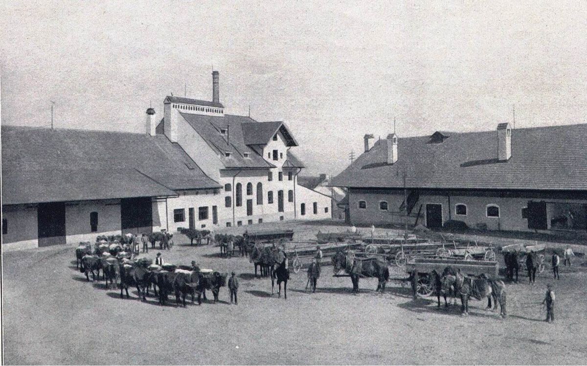 Gutshof Steinach