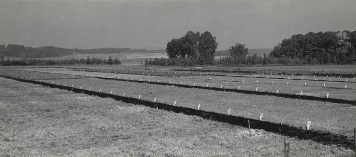 Kaligarten