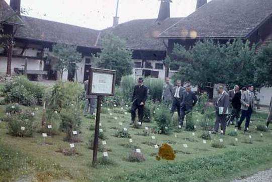 Lehrkraeutergarten