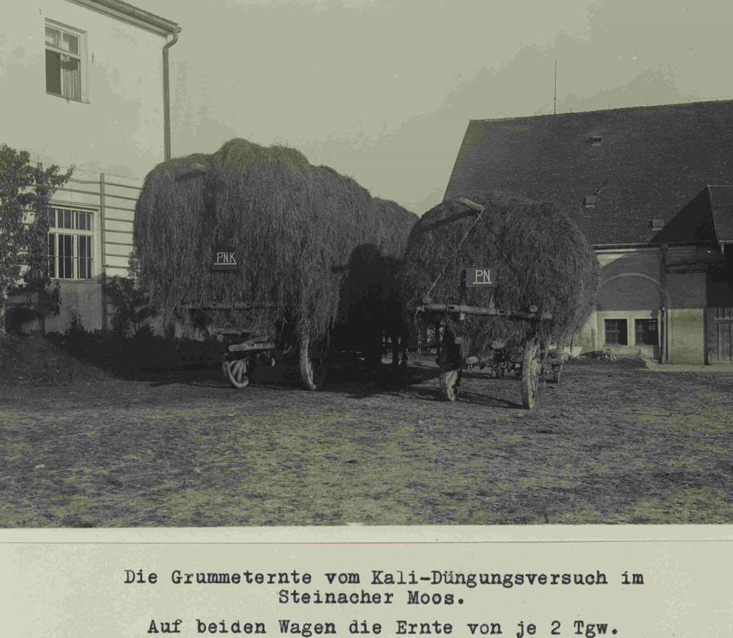 Vergleich Duengung