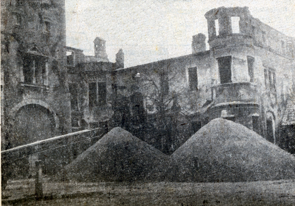 Schlossruine 1 1