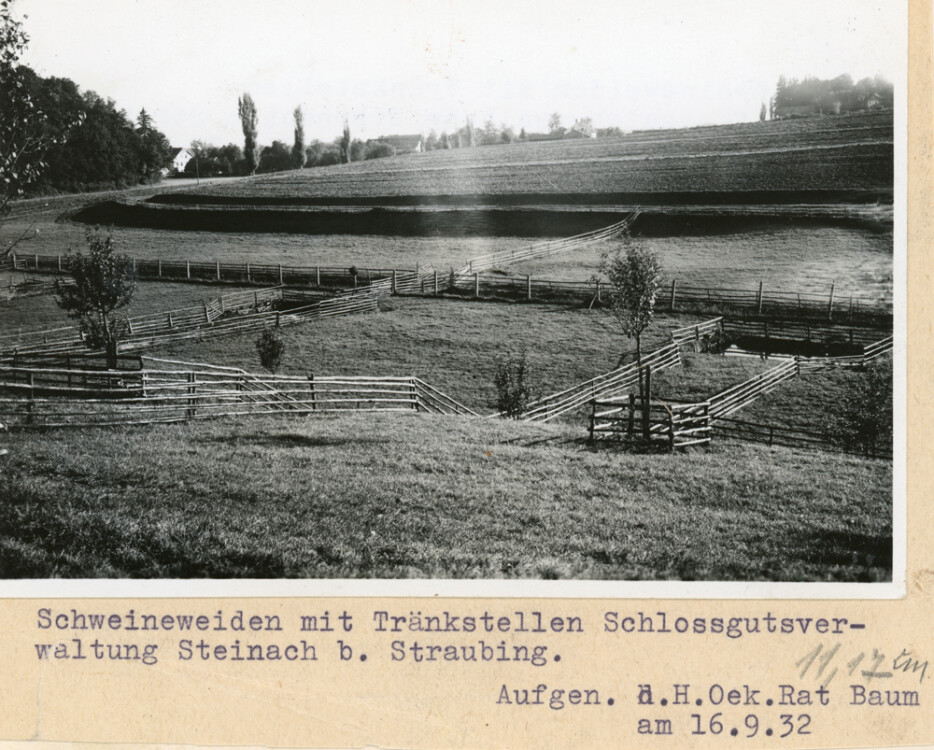fo gut 138
