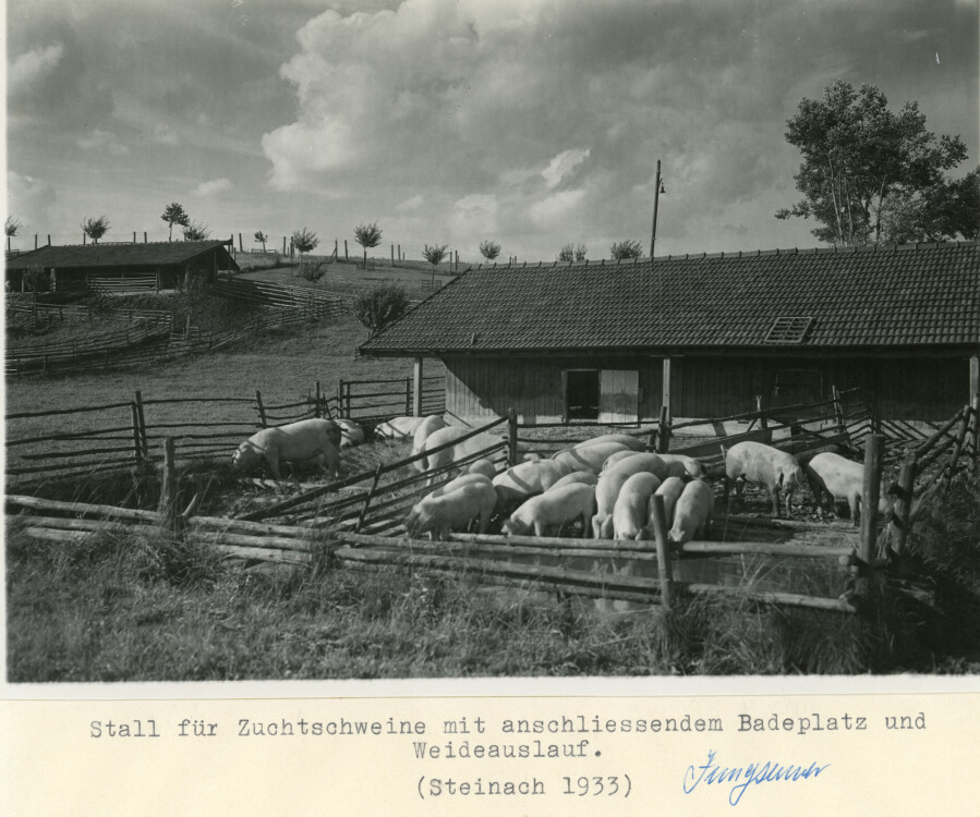 fo gut 142