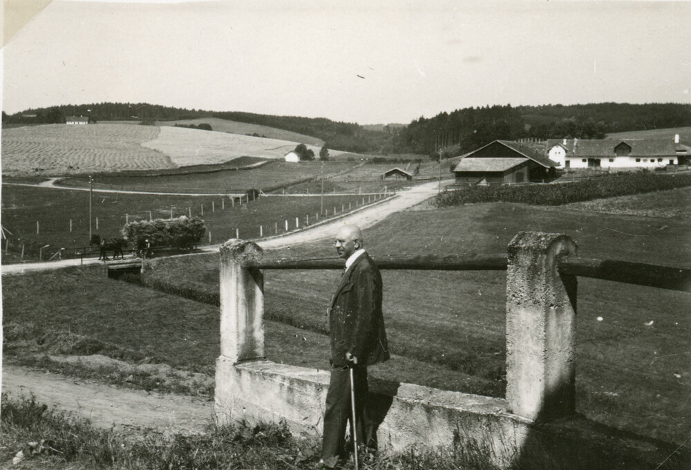 fo stei 227