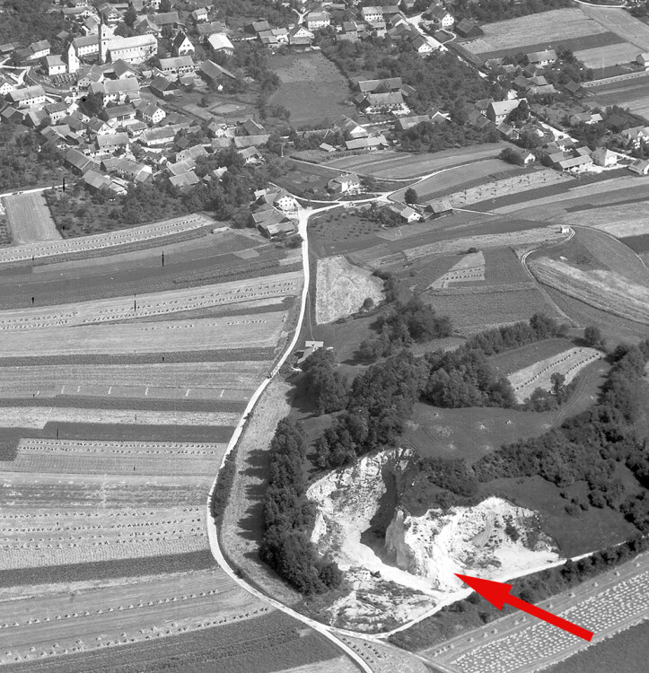 neg stei 12 ausschnitt